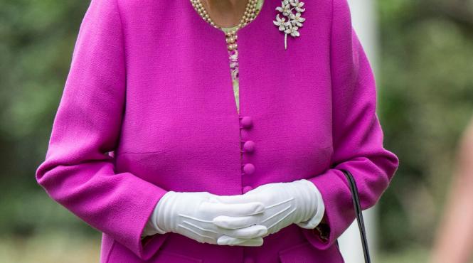 soc regina in paradisul fiscal