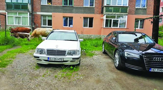 tara creditelor ucigase