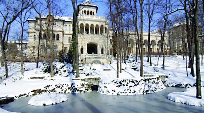 burlanele si jgheaburile de la palatul cotroceni dezghetate iarna cu aparatura de 57 000 de euro