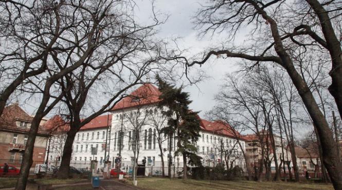 primaria timisoara a acordat sporuri ilegale in valoare de 31 866 222 lei