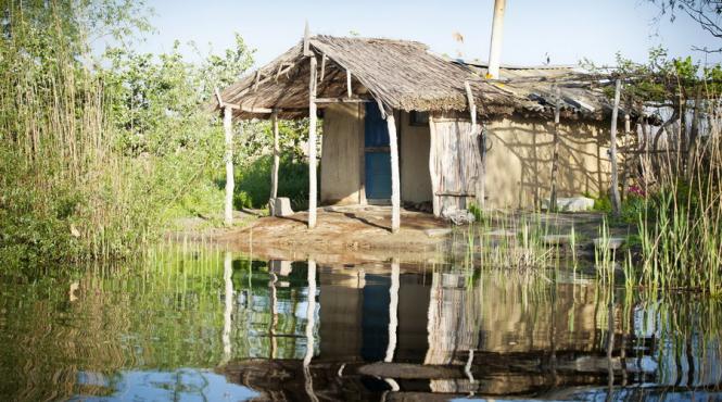 vom avea cazinouri in delta dunarii si pe insula belina