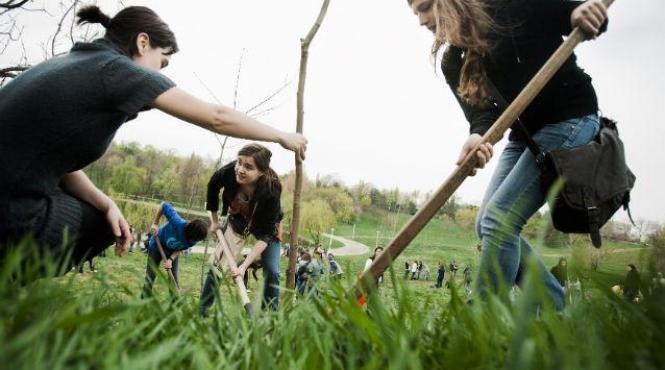 primii 50 000 de stejari din parcul memoriei nationale romandria vor fi plantati sambata la marasesti