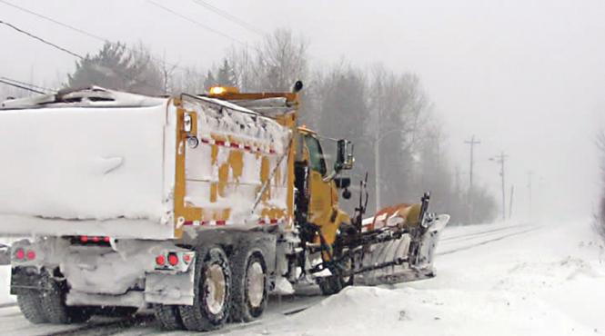 baietii destepti care dau la lopata pentru 80 mil euro