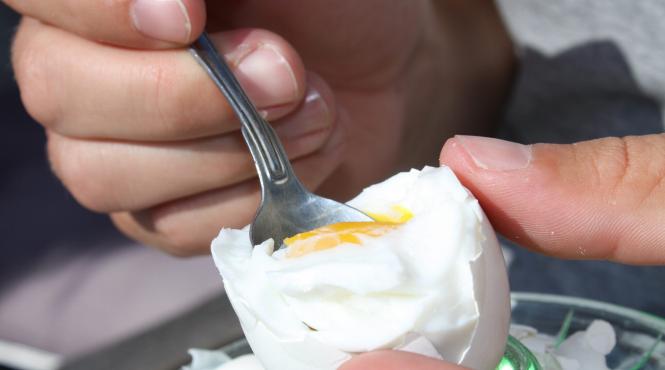 proteinele si diabetul daca vrei un ou renunti la cana de lapte