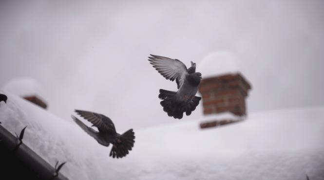 prognoza meteo pentru intervalul 11 24 decembrie cum va fi vremea pana la craciun si cand va veni gerul