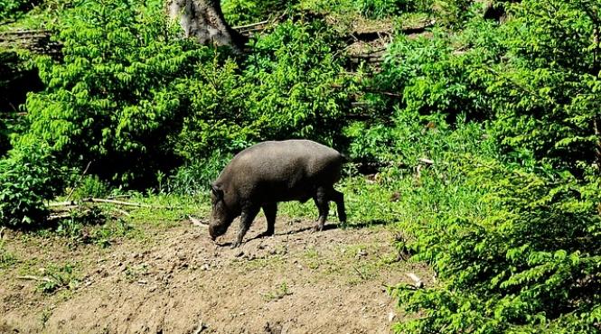 wir sind berlin mistreti pe strazile berlinului