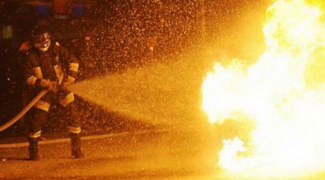 incendiu in timis provocat de un caine