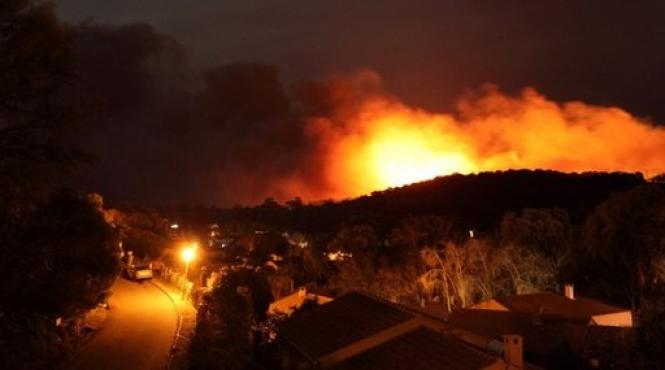 furtuna eleonor face victime in corsica