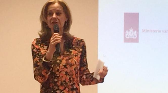 reactia mae olandez dupa ce ambasadoarea stella ronner grubacic a stat la aceeasi masa cu nelu iordache