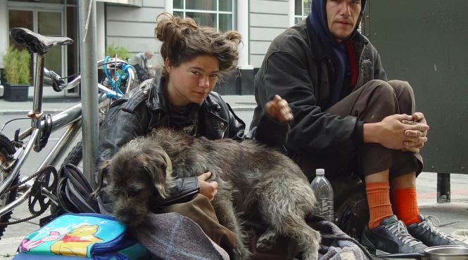 sua numarul cererilor pentru ajutor de somaj a crescut a crescut saptamana trecuta la 250 000