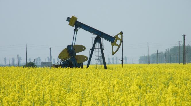 sonda de gaze de la moftinu mare inchisa dupa 20 de zile