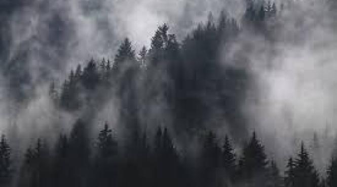 ceata in mai multe judete din oltenia dobrogea si muntenia