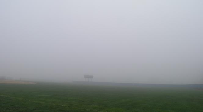 cod galben de ceata pentru sapte judete