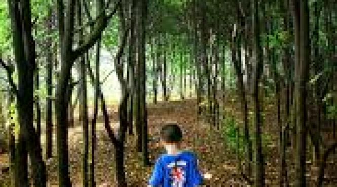 un baiat de 9 ani din satul stancilova este cautat de autoritati si localnici