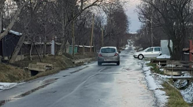 o soferita din neamt a ramas fara permis dupa ce a dat cu masina peste doi caini si n a oprit sa vada ce s a intamplat