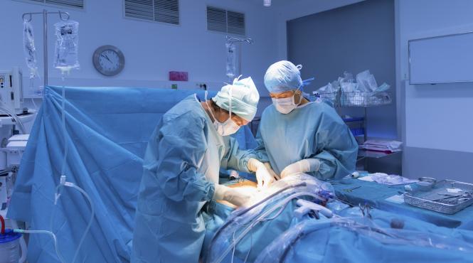 numarul donatorilor de organe s a injumatatit