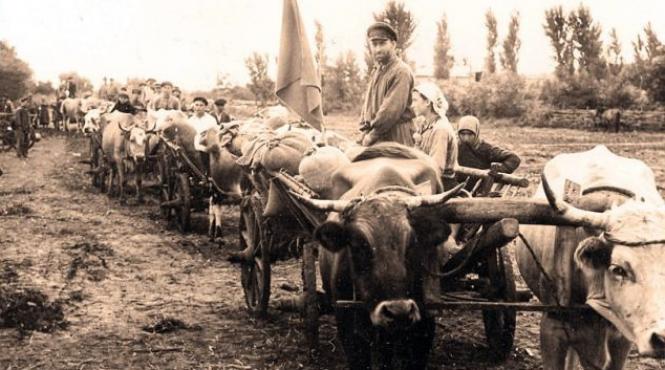 povestea incredibila a unui barbat care a stat ascuns sub pamant 22 de ani de frica securitatii