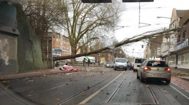 furtuna friederike a produs noua morti in nordul europei si haos in transporturi
