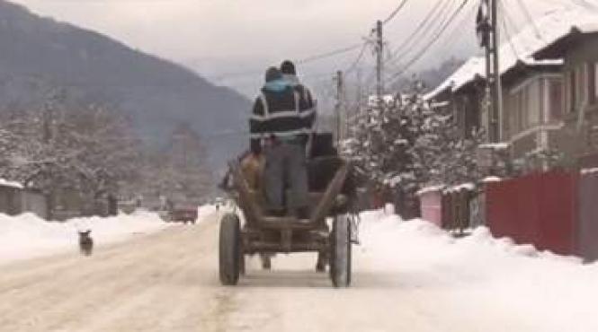 caz socant la bacau trei barbati au legat un tanar de un copac si l au batut pana a intrat in coma