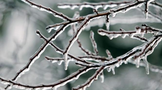 ger siberian au fost 21 de grade in romania prognoza pentru urmatoarele zile