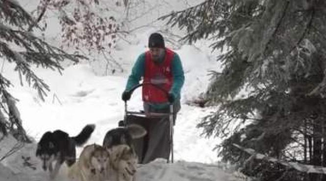 concurs inedit cu sanii trase de caini la baile tusnad