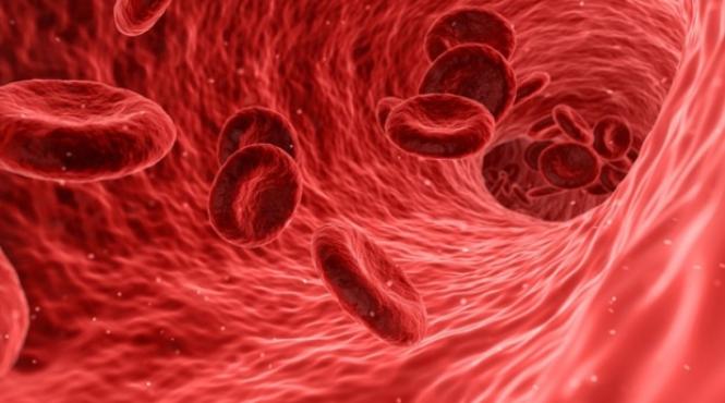 de ce trebuie sa renunti imediat la acest aliment