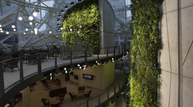 in mijlocul padurii cum arata noul sediul al companiei amazon