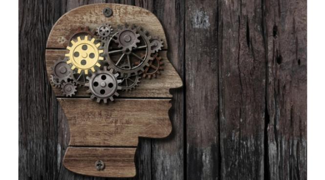 4 antidoturi siberiene care alunga batranetea cum lupti impotriva senilitatii