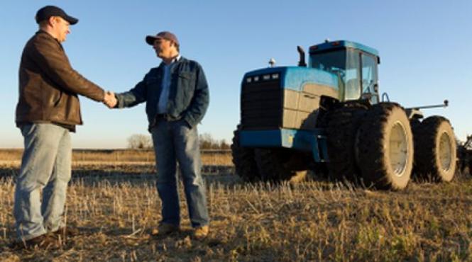 arenda tot ce trebuie sa stii despre ea