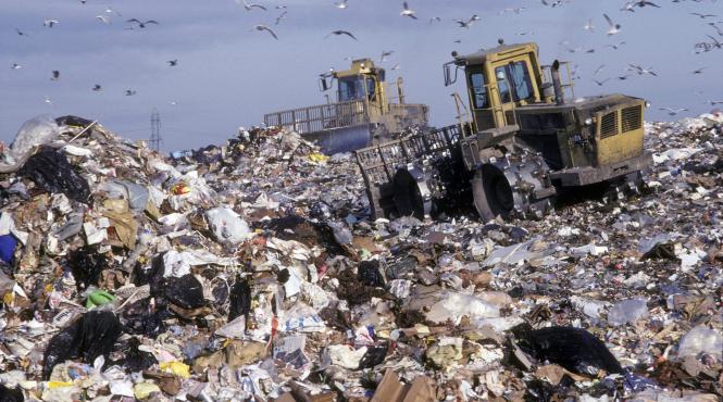 baietii destepti ai gunoaielor stapanii vasluiului pentru un sfert de veac