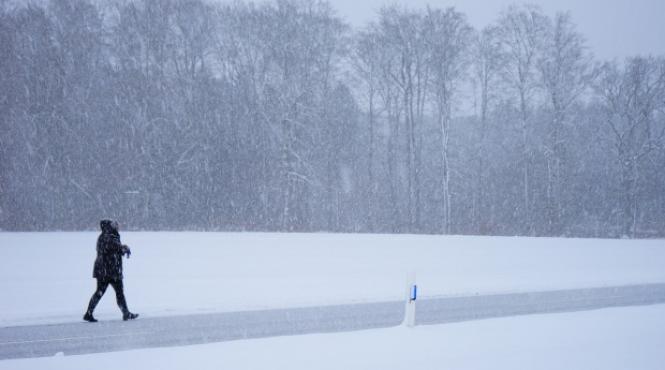 alerta meteo ploi si vant puternic in toata tara ninsori si viscol la munte