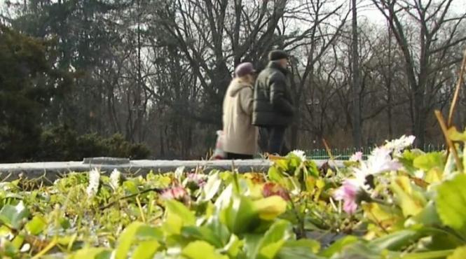 luna ianuarie 2018 cea mai calda din istoria anm