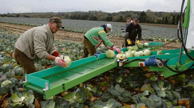 6 romani exploatati ca sclavi de alti romani in marea britanie eliberati de autoritati