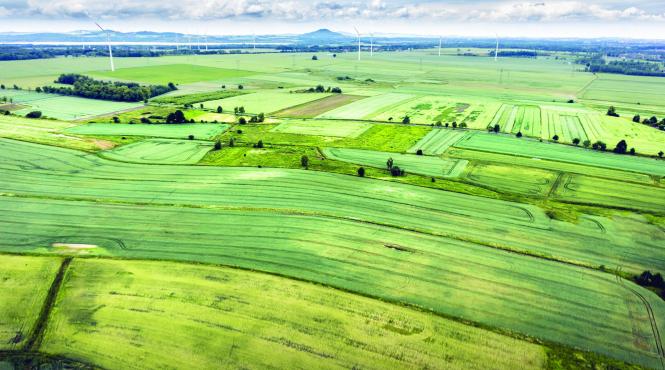 trimitem romania la export pe parcele