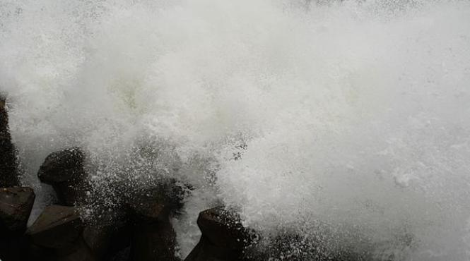 constanta si tulcea cod galben de vant puternic si ninsori