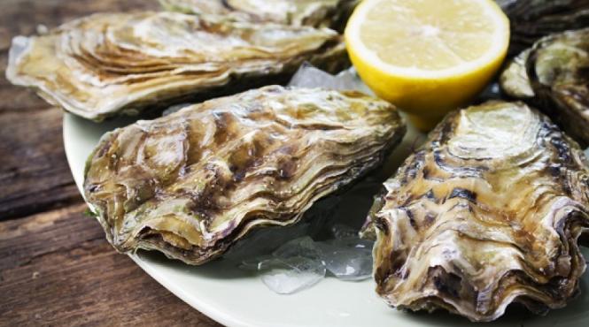 plachie de stridii reteta ecaterinei steriady colonelu de la 1871