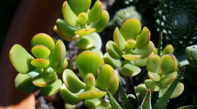 ce trebuie sa faci pentru a avea mai multi bani in casa