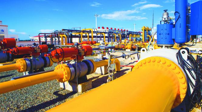 dragnea si tariceanu acuzati ca vor sa dea gaz ungariei