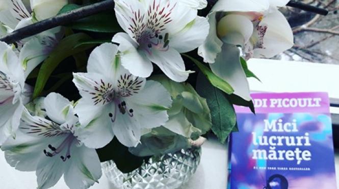 mici lucruri marete va fi ecranizat cu viola davis si julia roberts in rolurile principale