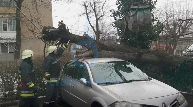 un copac s a prabusit peste o masina an craiova