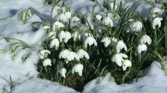 prognoza meteo pe doua saptamani vremea de dragobete si de 1 martie