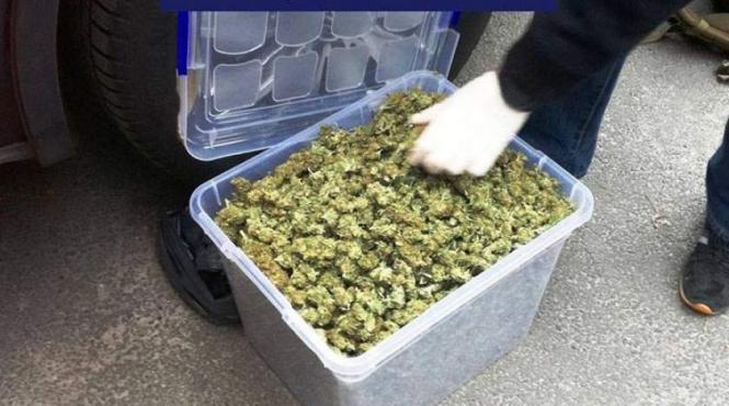 doua tinere din capitala au fost prinse in flagrant de politisti in timp ce vindeau 5 kilograme de canabis