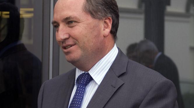 viceprim ministrul australiei demisioneaza