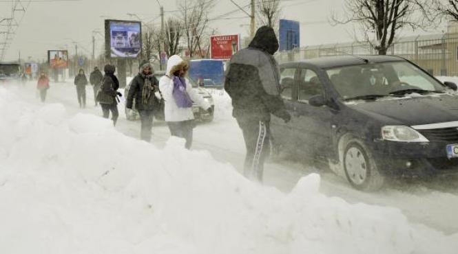 cod portocaliu de ger in moldova estul transilvaniei oltenia muntenia si dobrogea