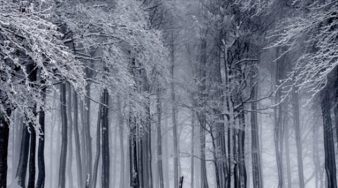 irlanda furtuna emma goleste rafturile magazinelor