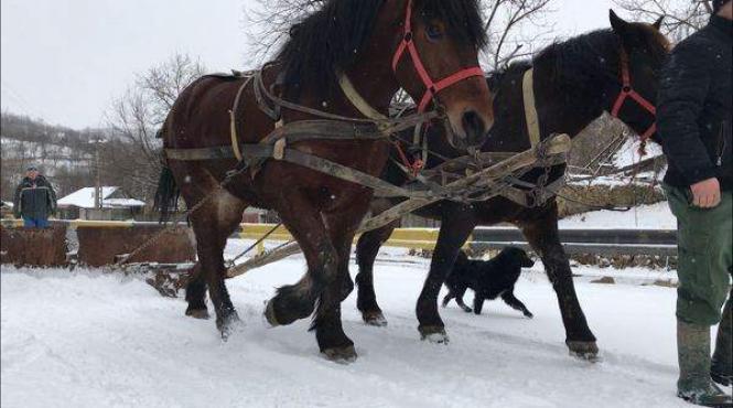 metoda originala de deszapezire intr un sat din prahova