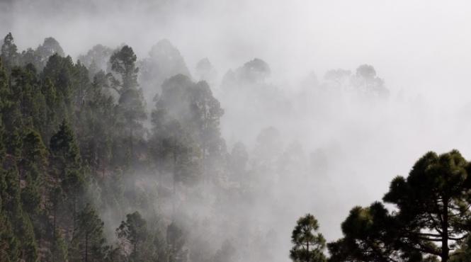 meteorologii avertizeaza fenomene periculoase in mai multe judete din tara