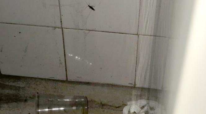 alexandra stan scandalizata de mizeria din spitalul de urgenta din constanta