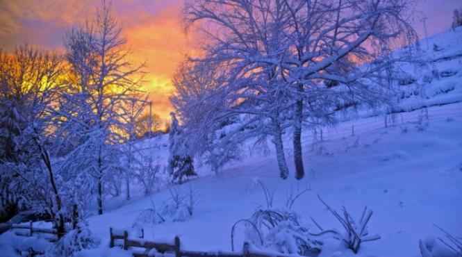 nord vestul statelor unite paralizat de noi caderi de zapada