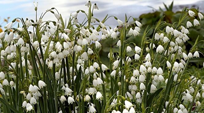 schimbare brusca a vremii anuntul facut de meteorologi
